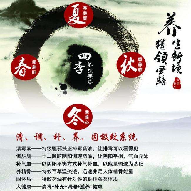 作假拳香港驾照